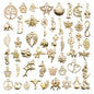 ✨ Golden Grab Bag: Tiny Treasures Galore Over 40 Assorted Charms Mixed✨